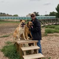 Cathy Morrison's profile image