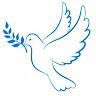 Timur's profile image