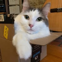 Natalie Price's profile image