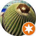 Angel Schwickerath's Profile Image