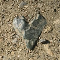 Elaine Paul Podolak's profile image