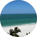 Berl Mills's Profile Image