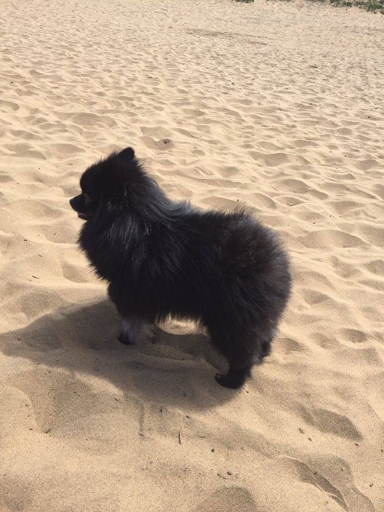 Tina U.'s profile image