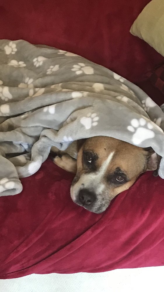 Kerrie C.'s profile image