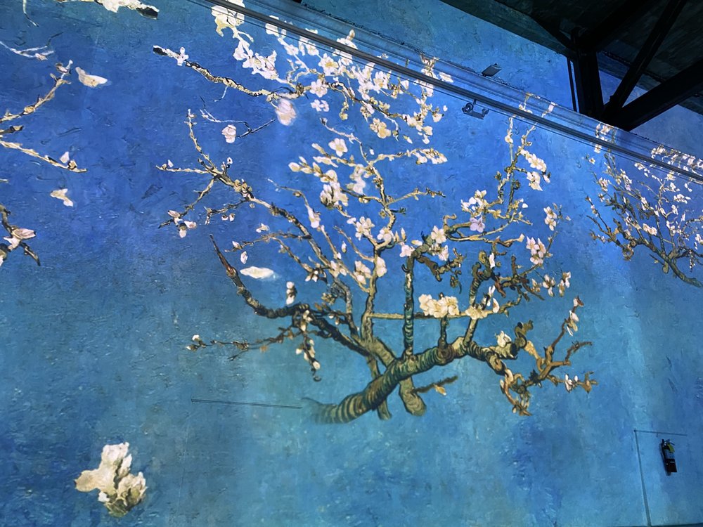 Luv Z.'s profile image