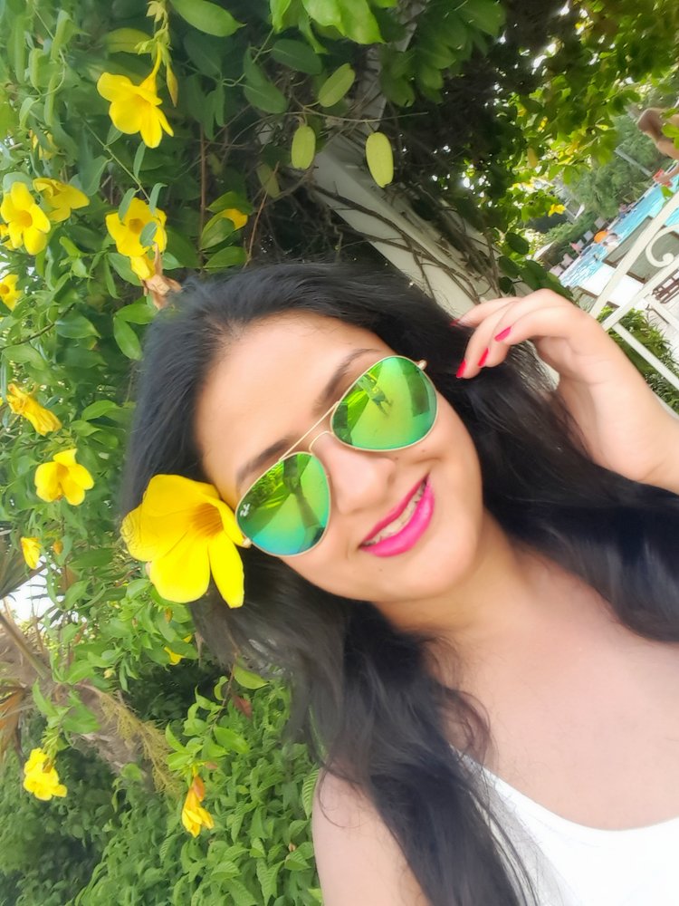 RVash S.'s profile image