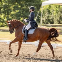 Lauren Baker's profile image