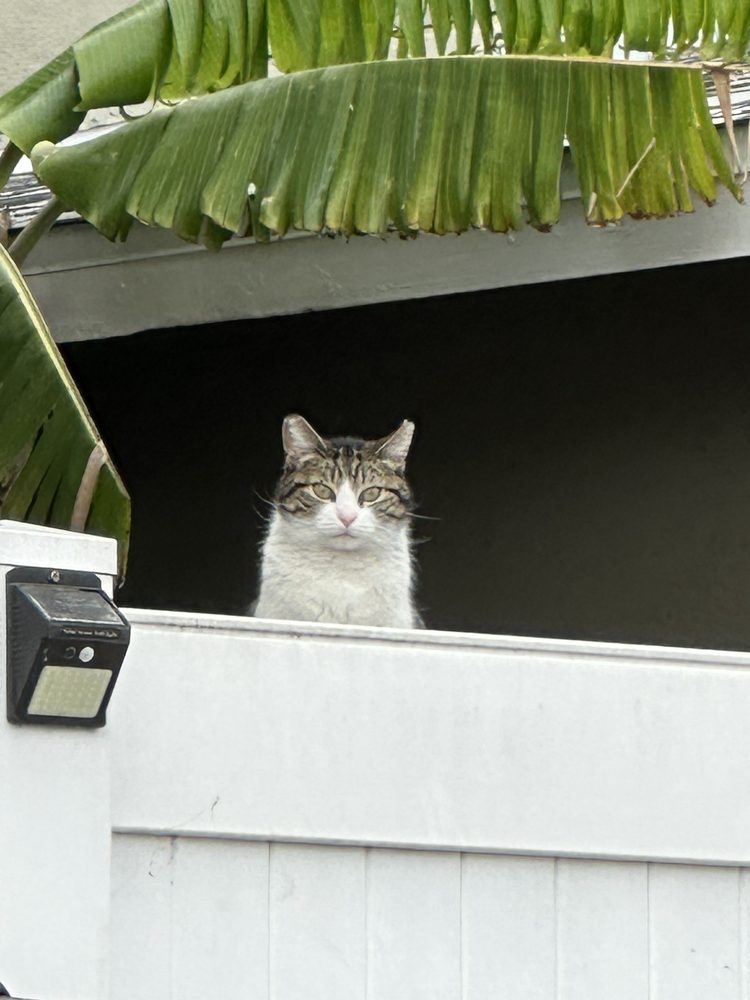 J S.'s profile image