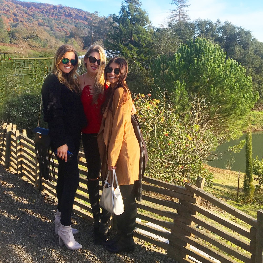 Ariel V.'s profile image