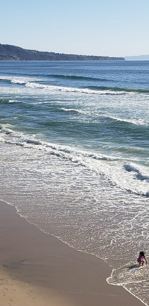 David M.'s profile image