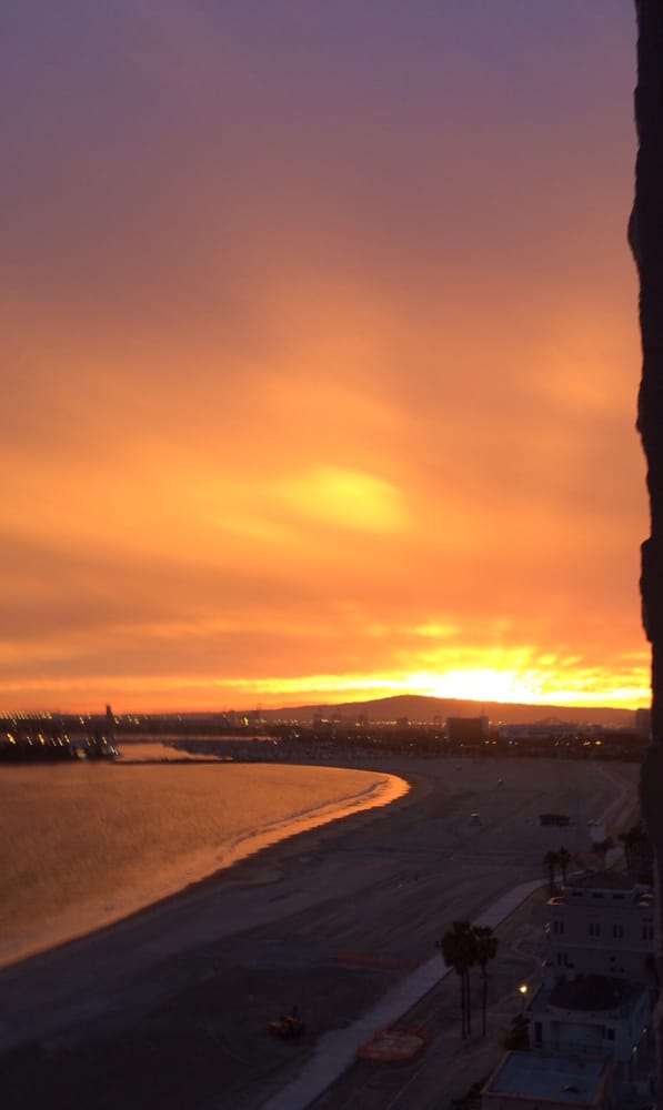 Tam R.'s profile image