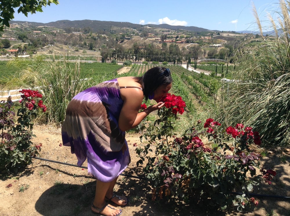 Tae G.'s profile image