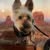Debbie H.'s profile image