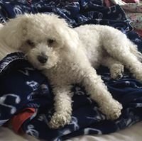 S B.'s profile image