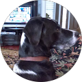 Jonathan McMillen's Profile Image