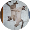 Kathryn Blodgett's Profile Image