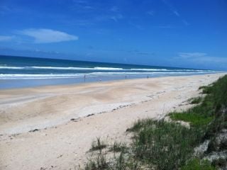 Chris Z.'s profile image