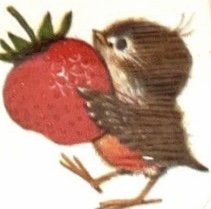 Madison L.'s profile image