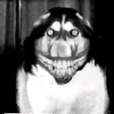 Johnny G.'s profile image