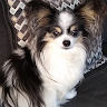 Linda's profile image