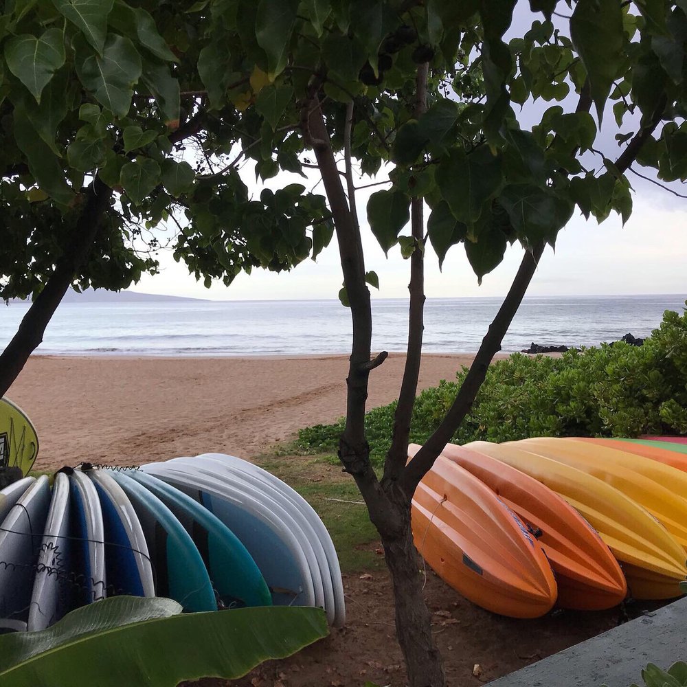 Monaliza G.'s profile image