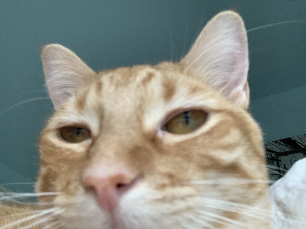 Sarah M.'s profile image