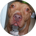 profile-photo