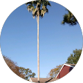 ike e's Profile Image