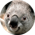 Matthew Fletcher's Profile Image