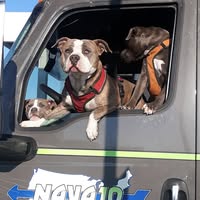 Westley Bowden's profile image