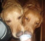 Mike N.'s profile image