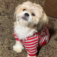 Carla Aguilero's profile image