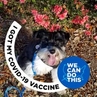 Judith Spencer's profile image