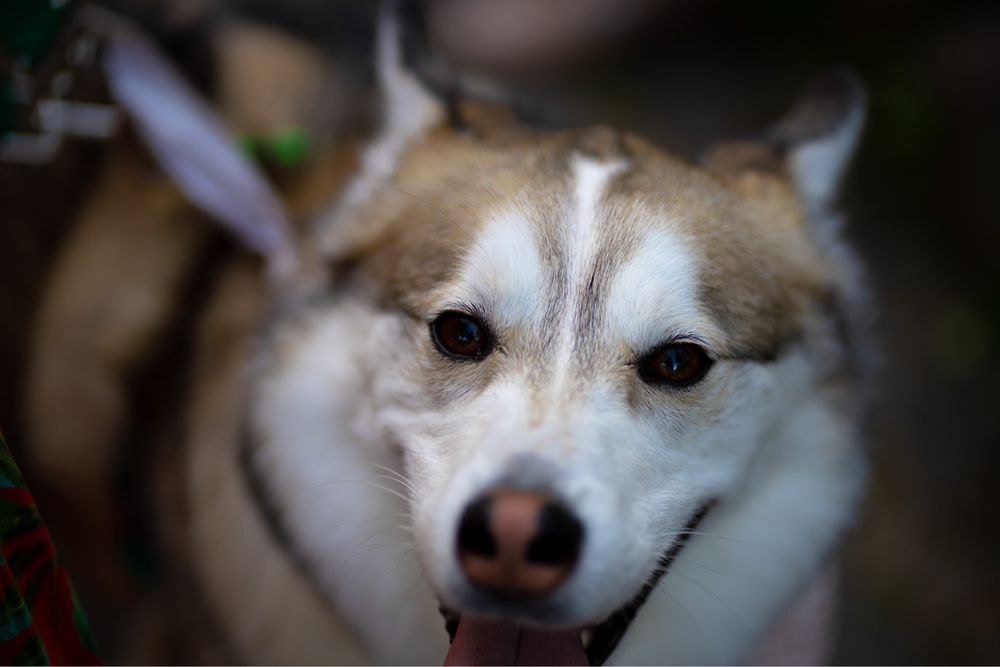 Homme B.'s profile image