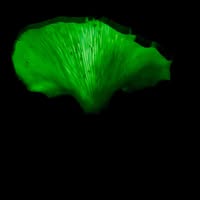 Chris Best's profile image