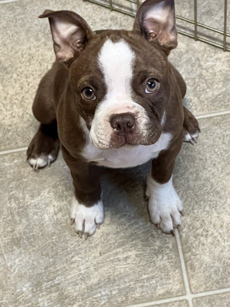 Miranda B ..'s profile image