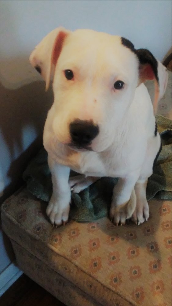 S. S.'s profile image