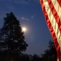 Joanne Wheeler Calvaruso's profile image