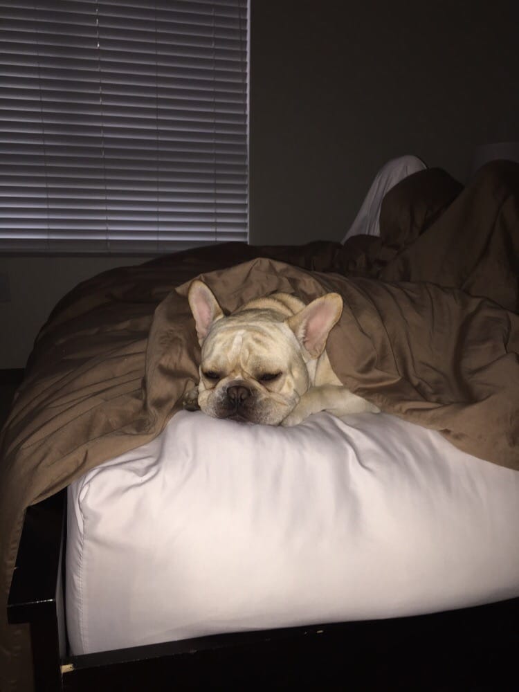 Zach M.'s profile image