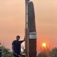 Alexander Lessar's profile image