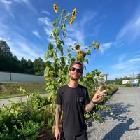 Joe French-davis's profile image