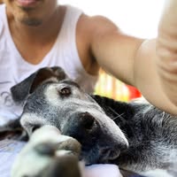 Paul Wong's profile image