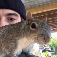 Paul Flannigan's profile image