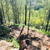 Michael Johnson's profile image