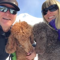 Ana Stefanovic's profile image