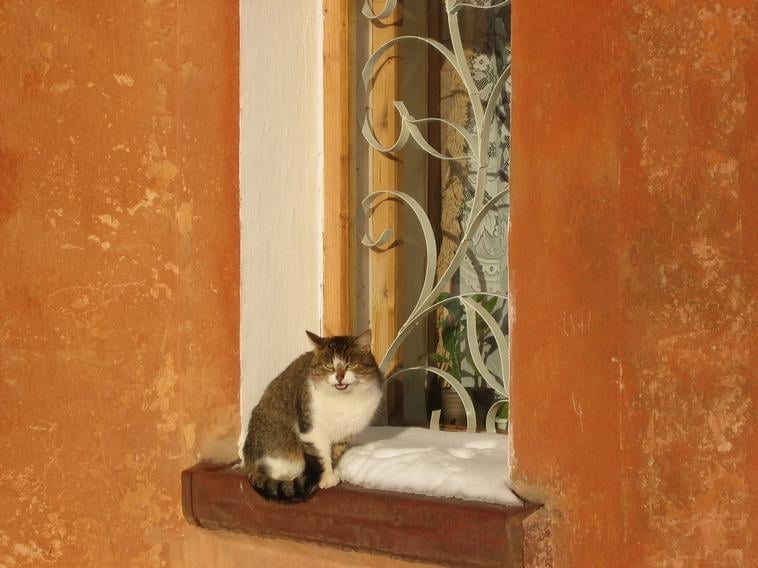 Julia A.'s profile image