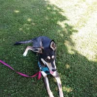 Robin Hudson's profile image