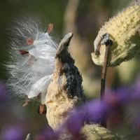 Cheryl M. LaGuire's profile image