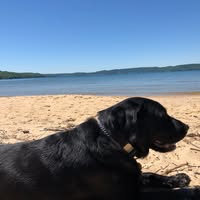 Jess Butler's profile image