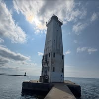 Jill Hassard's profile image